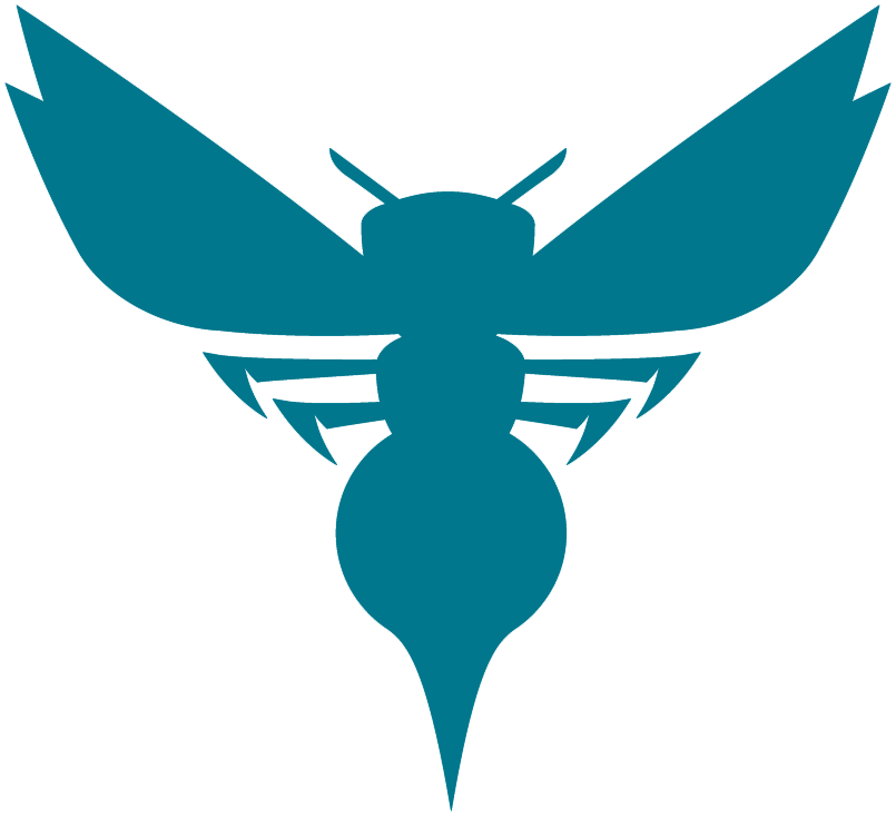 Charlotte Hornets 2014-Pres Alternate Logo iron on transfers for T-shirts version 3